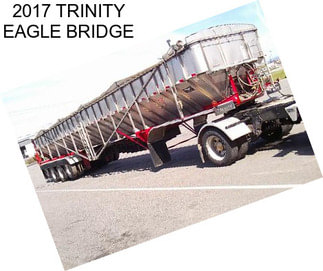 2017 TRINITY EAGLE BRIDGE