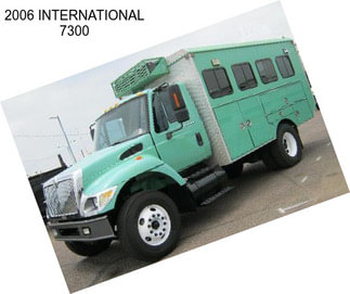 2006 INTERNATIONAL 7300