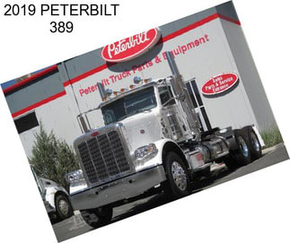 2019 PETERBILT 389