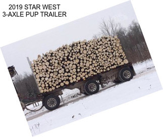 2019 STAR WEST 3-AXLE PUP TRAILER