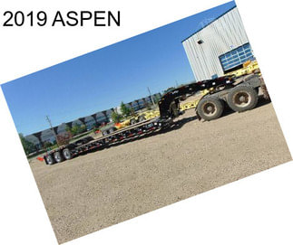 2019 ASPEN