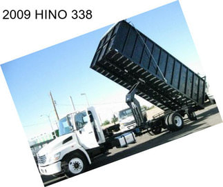 2009 HINO 338