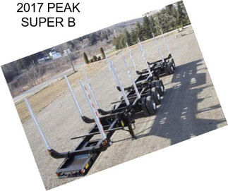 2017 PEAK SUPER B