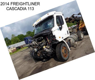 2014 FREIGHTLINER CASCADIA 113