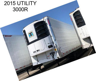 2015 UTILITY 3000R