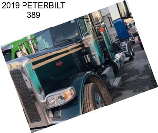 2019 PETERBILT 389