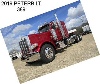 2019 PETERBILT 389