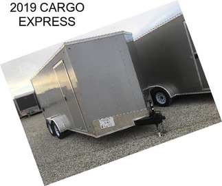 2019 CARGO EXPRESS