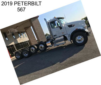 2019 PETERBILT 567