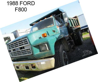 1988 FORD F800