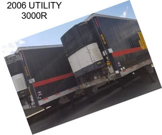 2006 UTILITY 3000R