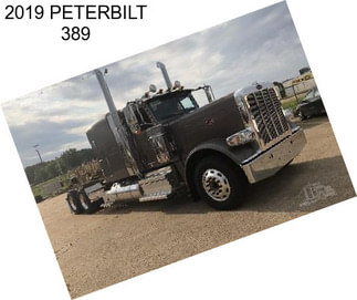 2019 PETERBILT 389