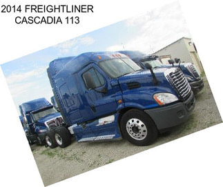 2014 FREIGHTLINER CASCADIA 113