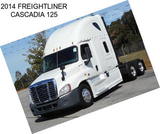 2014 FREIGHTLINER CASCADIA 125