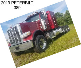 2019 PETERBILT 389