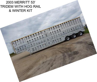 2003 MERRITT 53\' TRIDEM WITH HOG RAIL & WINTER KIT