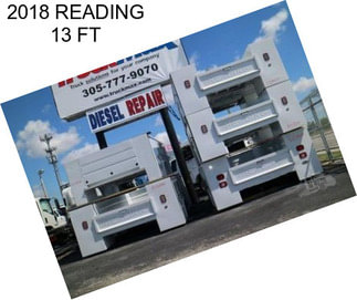 2018 READING 13 FT