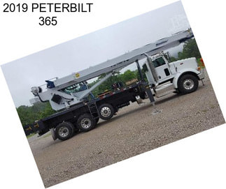 2019 PETERBILT 365