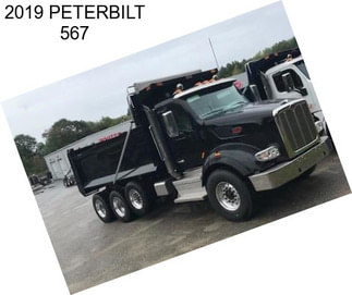 2019 PETERBILT 567