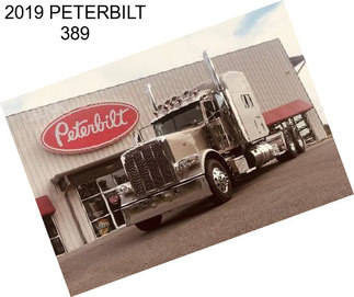 2019 PETERBILT 389