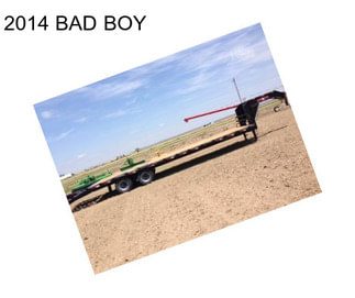 2014 BAD BOY