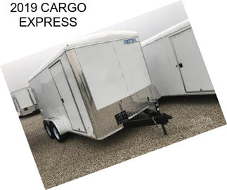 2019 CARGO EXPRESS