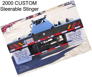 2000 CUSTOM Steerable Stinger