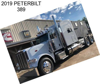 2019 PETERBILT 389