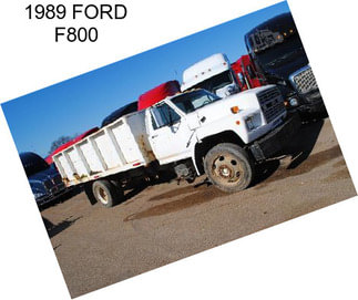 1989 FORD F800