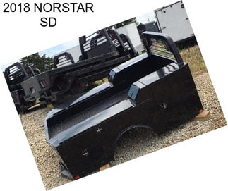 2018 NORSTAR SD