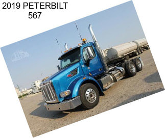 2019 PETERBILT 567