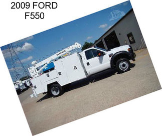 2009 FORD F550