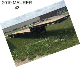 2019 MAURER 43