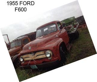 1955 FORD F600