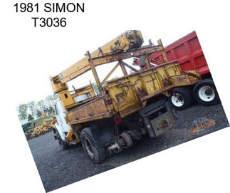 1981 SIMON T3036