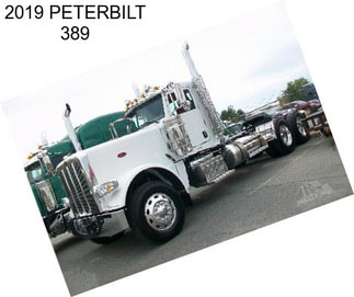 2019 PETERBILT 389