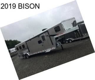 2019 BISON