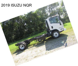 2019 ISUZU NQR