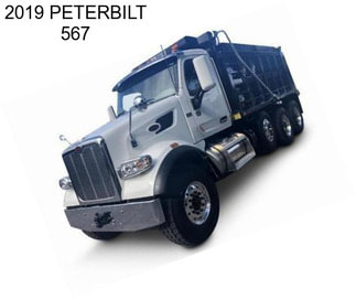 2019 PETERBILT 567