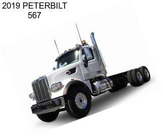 2019 PETERBILT 567