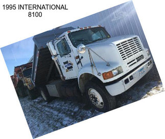 1995 INTERNATIONAL 8100