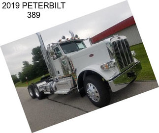 2019 PETERBILT 389