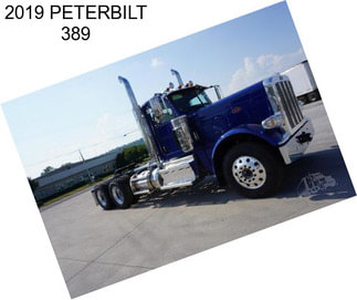 2019 PETERBILT 389