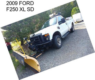 2009 FORD F250 XL SD