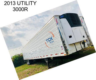 2013 UTILITY 3000R