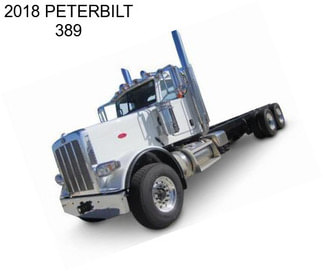 2018 PETERBILT 389