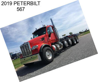 2019 PETERBILT 567