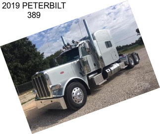 2019 PETERBILT 389