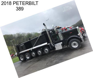 2018 PETERBILT 389