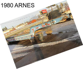 1980 ARNES